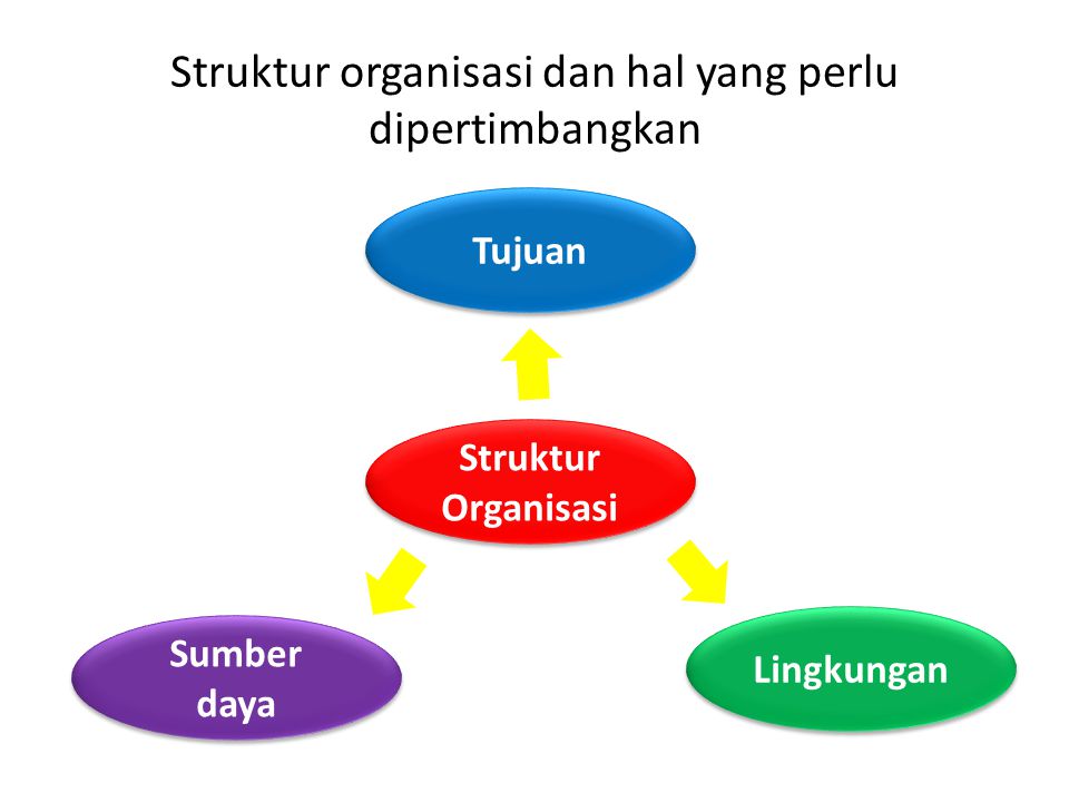 Struktur organisasi dan hal yang perlu dipertimbangkan