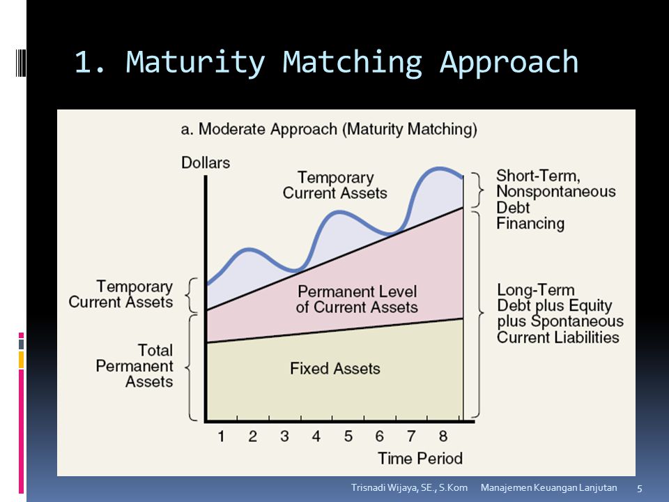 1. Maturity Matching Approach