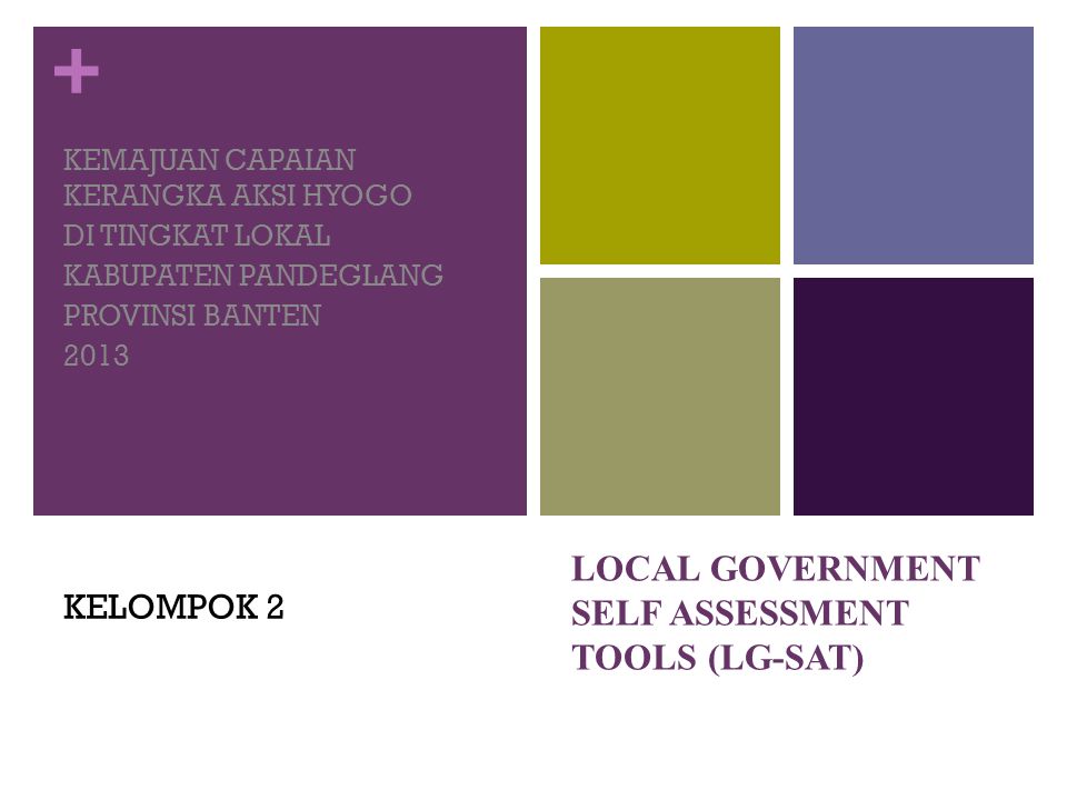 LOCAL GOVERNMENT SELF ASSESSMENT TOOLS (LG-SAT)