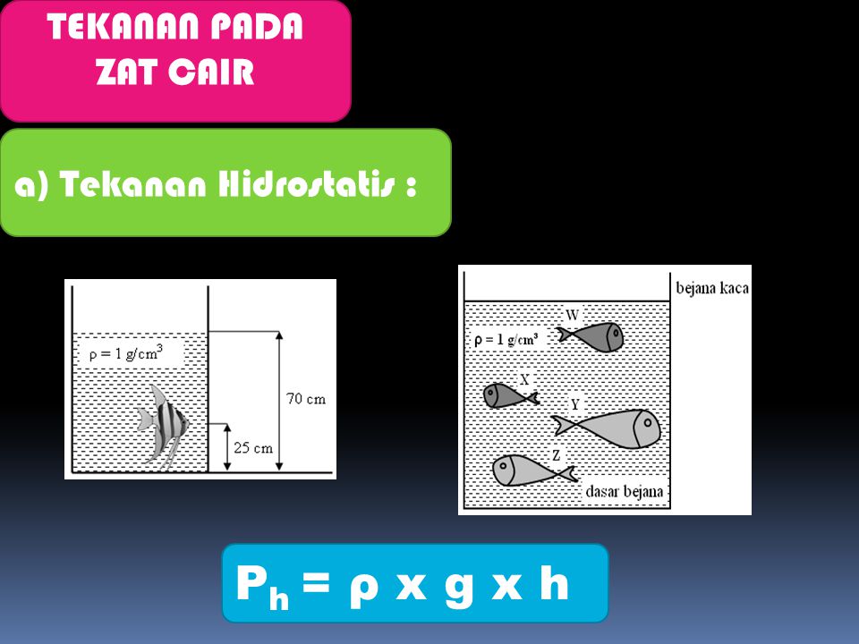 TEKANAN PADA ZAT CAIR a) Tekanan Hidrostatis : Ph = ρ x g x h
