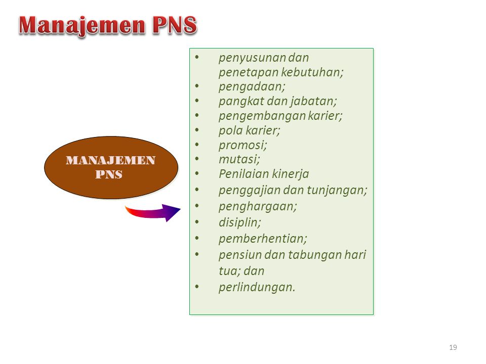 Manajemen PNS penyusunan dan penetapan kebutuhan; pengadaan;
