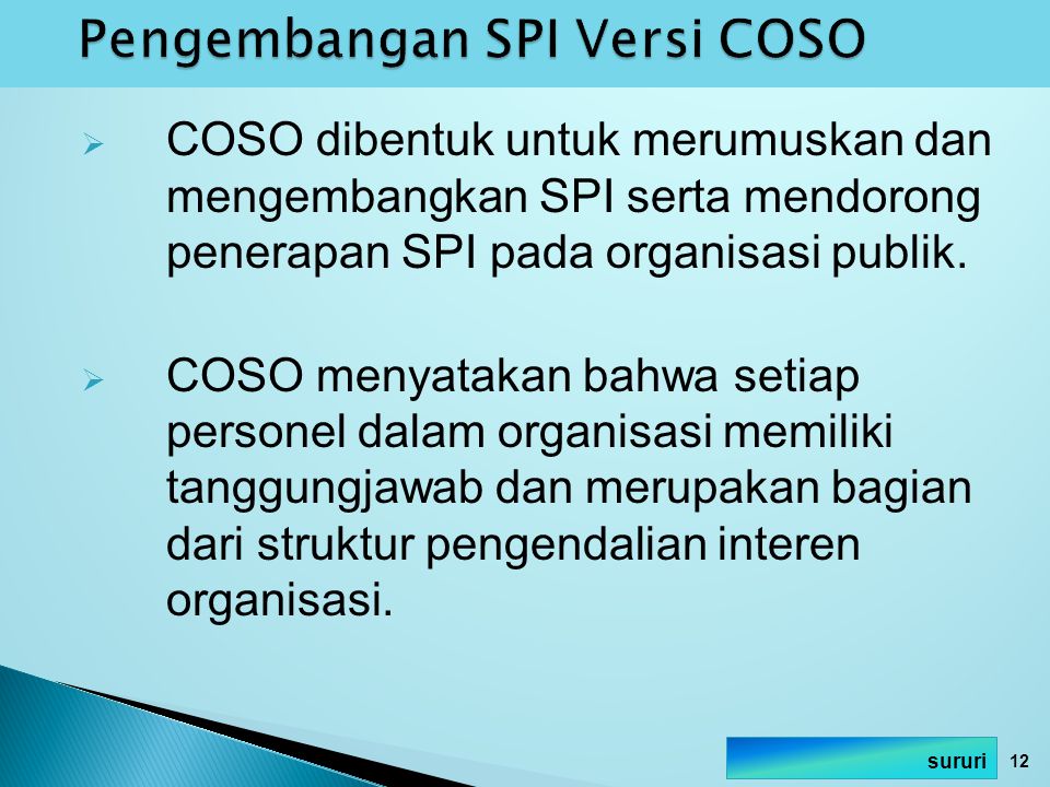 Pengembangan SPI Versi COSO