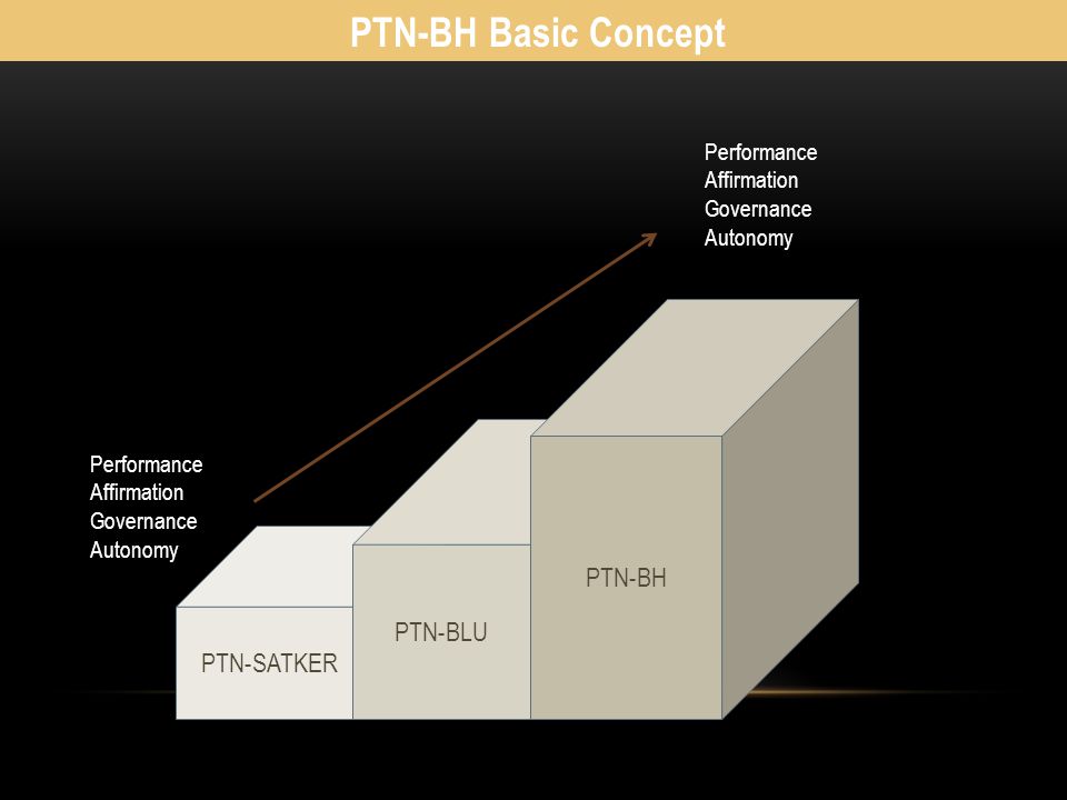 PTN-BH Basic Concept PTN-BH PTN-BLU PTN-SATKER Performance Affirmation