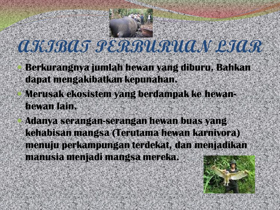 Sebutkan upaya indonesia dalam menanggulangi kejahatan terhadap hewan dan tumbuhan liar atau langka
