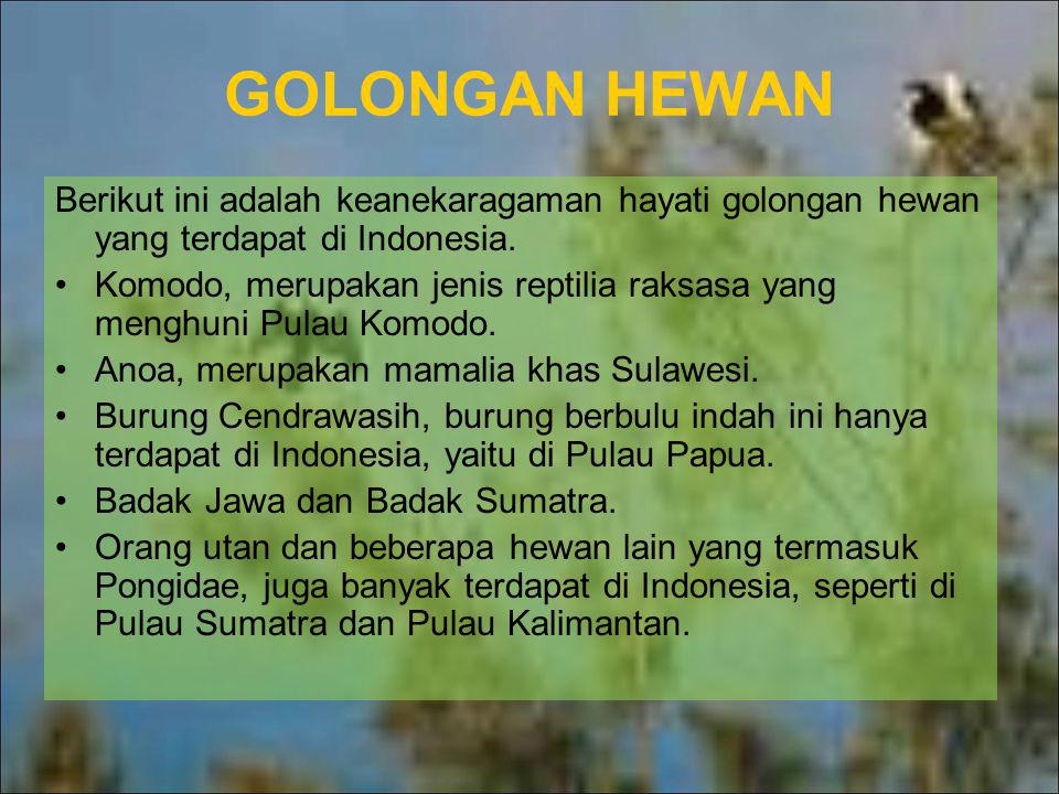 GOLONGAN HEWAN Berikut ini adalah keanekaragaman hayati golongan hewan yang terdapat di Indonesia.