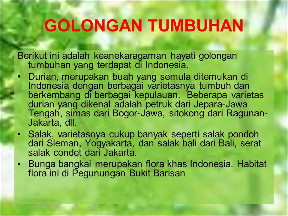 GOLONGAN TUMBUHAN Berikut ini adalah keanekaragaman hayati golongan tumbuhan yang terdapat di Indonesia.