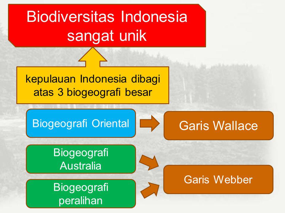 Biodiversitas Indonesia sangat unik