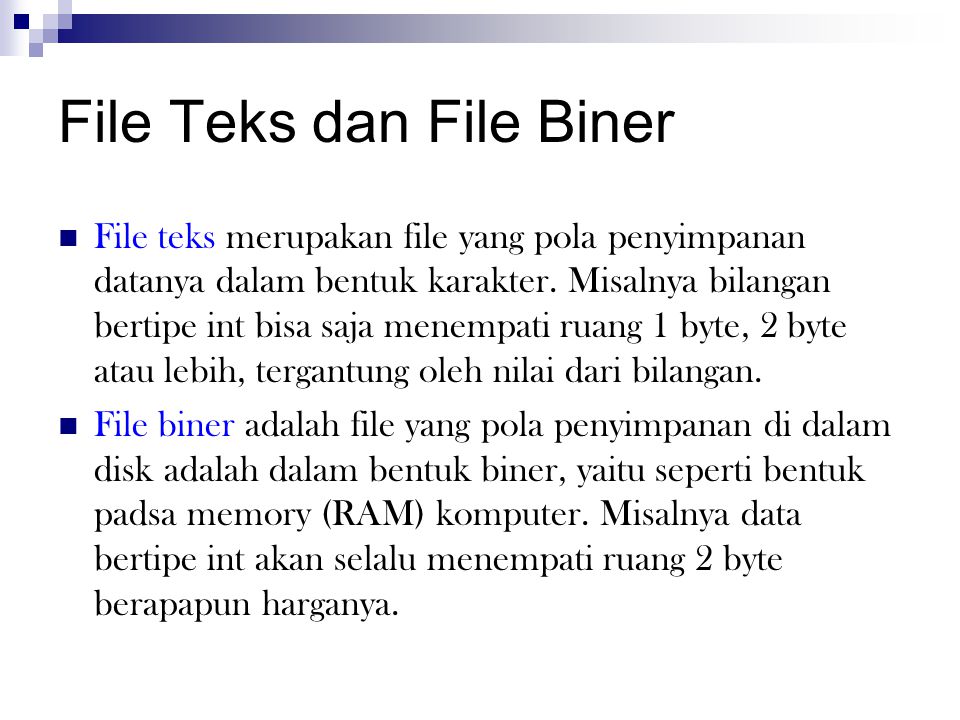 File Teks dan File Biner