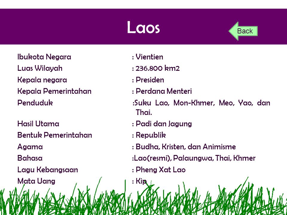 Laos Back.