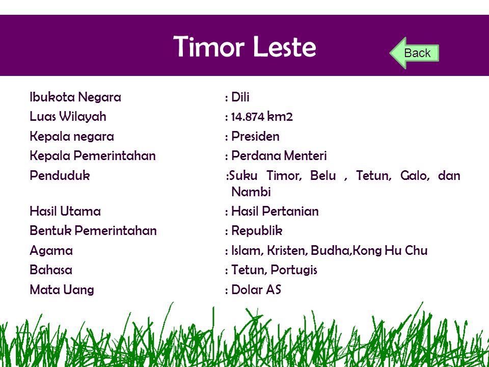 Timor Leste Back.