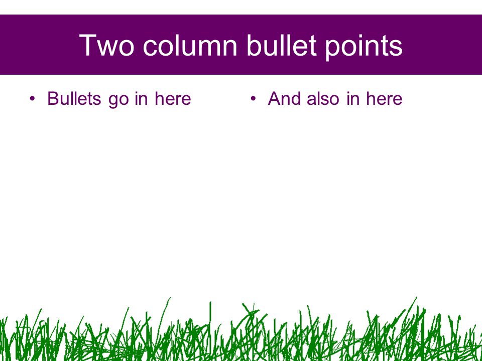 Two column bullet points