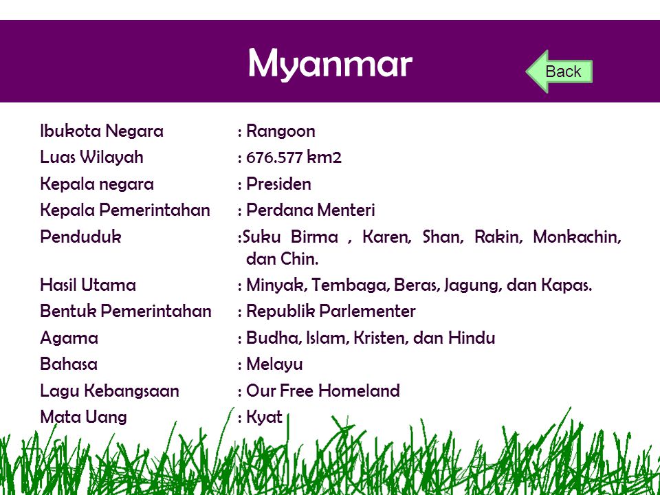 Myanmar Back.