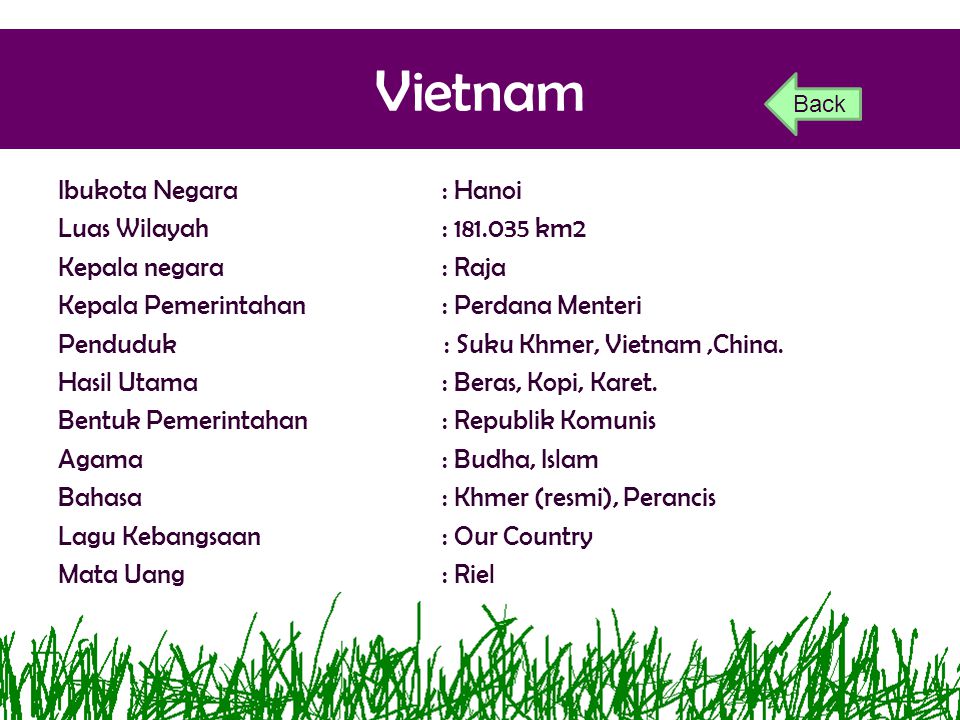 Vietnam Back.