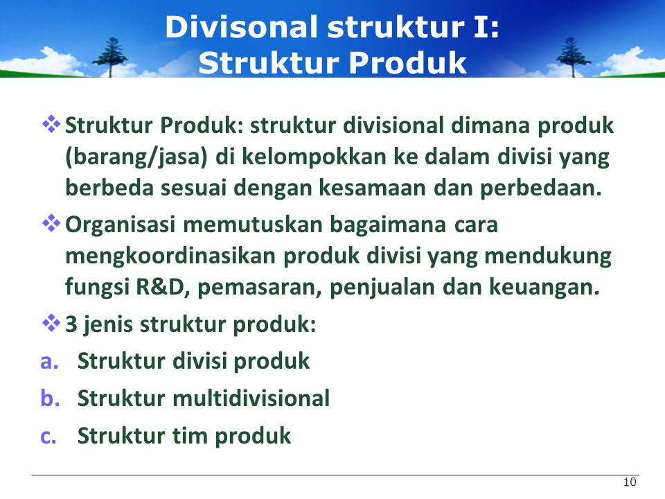 Divisonal struktur I: Struktur Produk