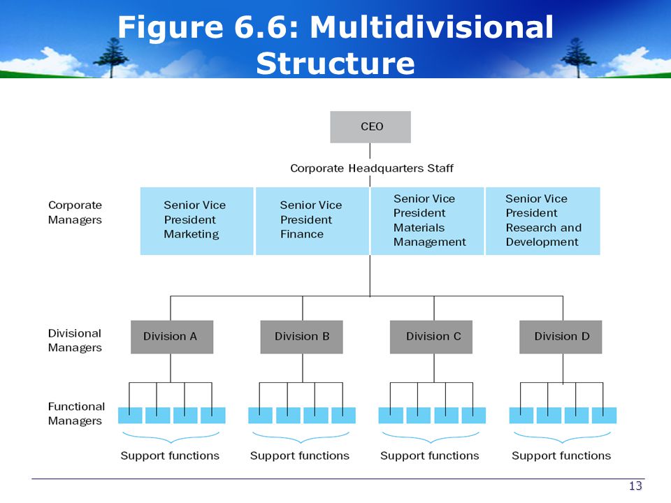 Figure 6.6: Multidivisional Structure