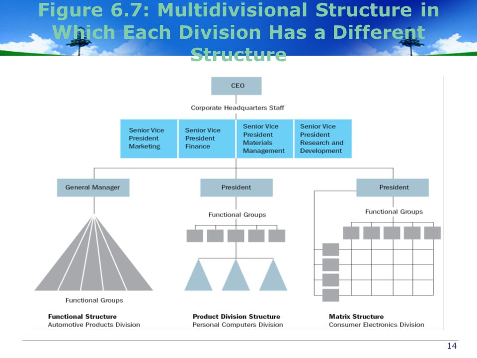 Figure 6.7: Multidivisional Structure in Which Each Division Has a Different Structure