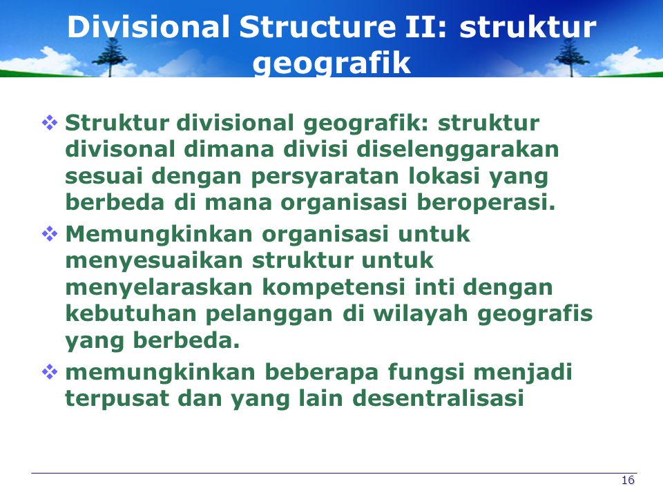 Divisional Structure II: struktur geografik