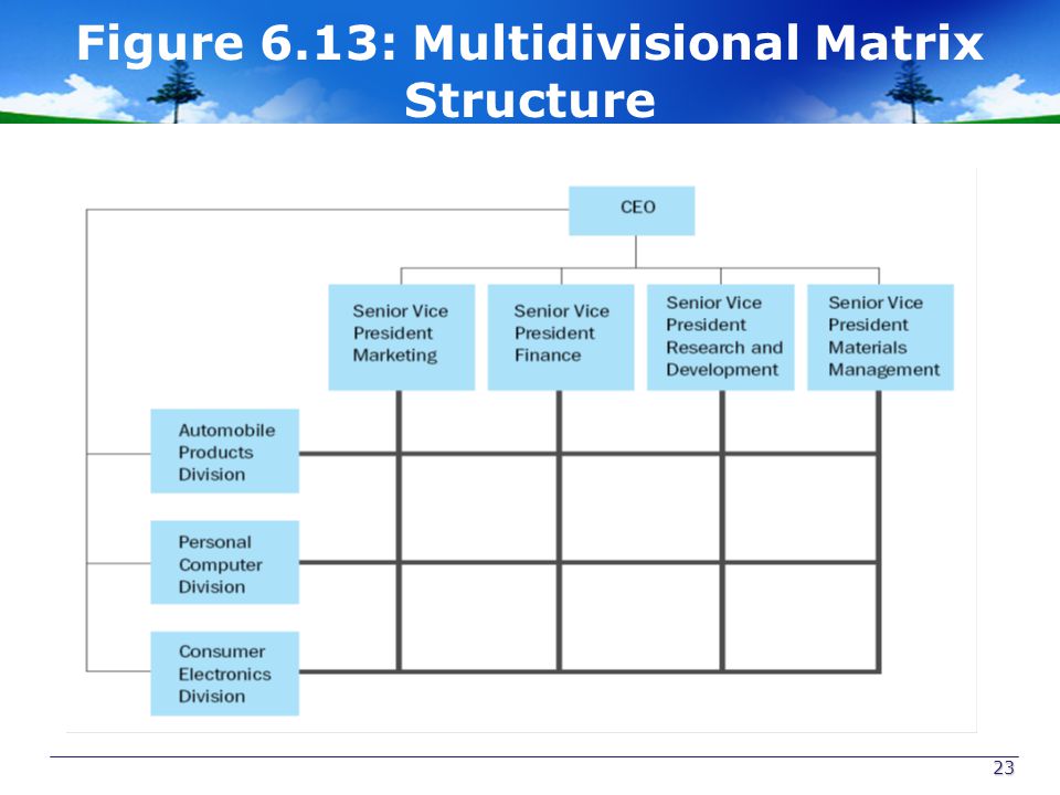 Figure 6.13: Multidivisional Matrix Structure