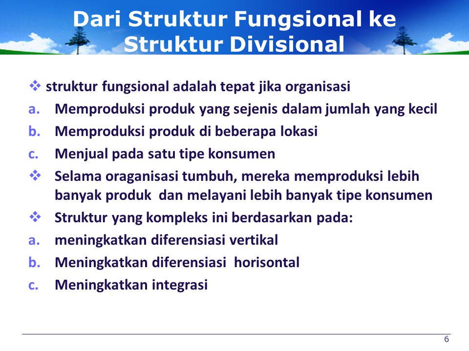 Dari Struktur Fungsional ke Struktur Divisional