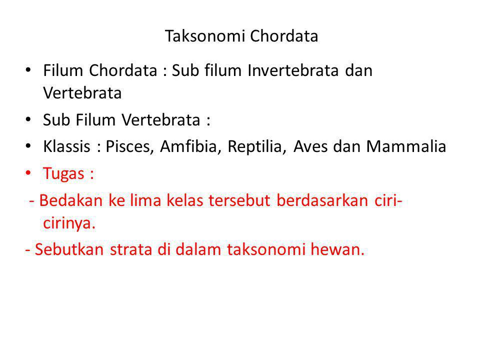 Taksonomi Chordata Filum Chordata : Sub filum Invertebrata dan Vertebrata. Sub Filum Vertebrata :