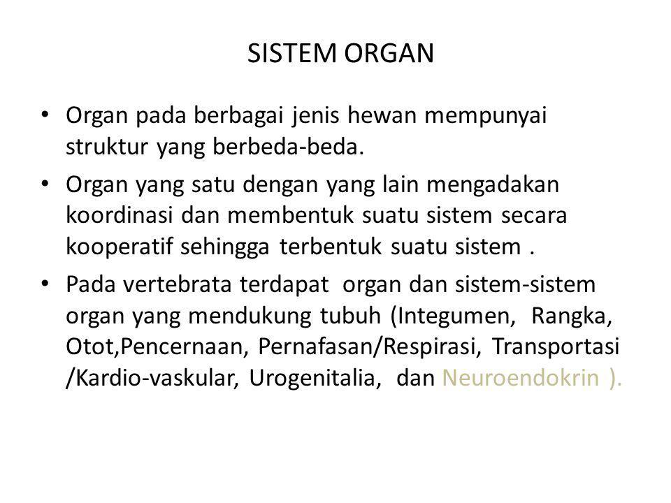 SISTEM ORGAN Organ pada berbagai jenis hewan mempunyai struktur yang berbeda-beda.