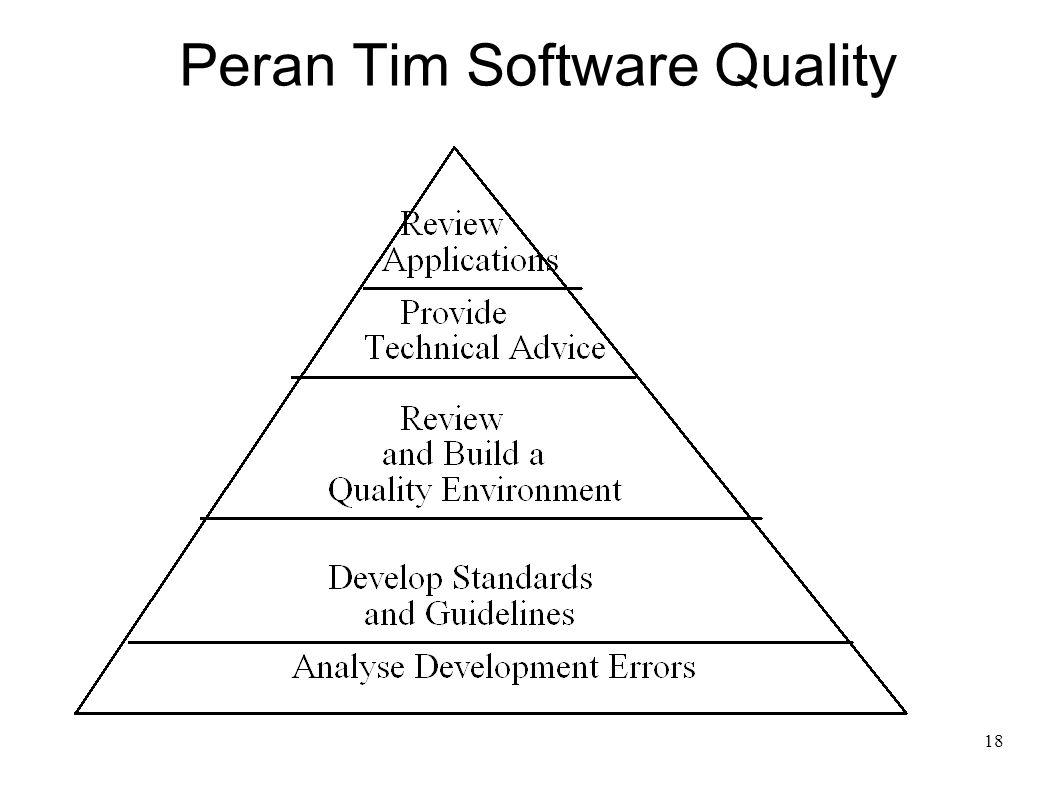 Peran Tim Software Quality