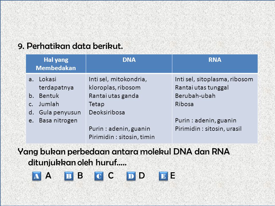 Demikian nitrogen yang timin oleh menjadi mutasi suatu disebut diganti dna kekeliruan, gen protein guanin. disintesis akibatnya basa yang karena keliru. Penyebab Mutasi