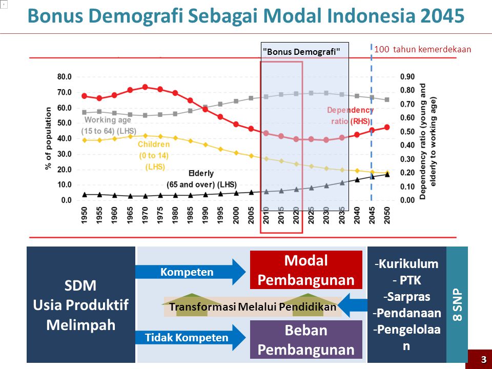 Bonus Demografi Sebagai Modal Indonesia 2045 Usia Produktif Melimpah