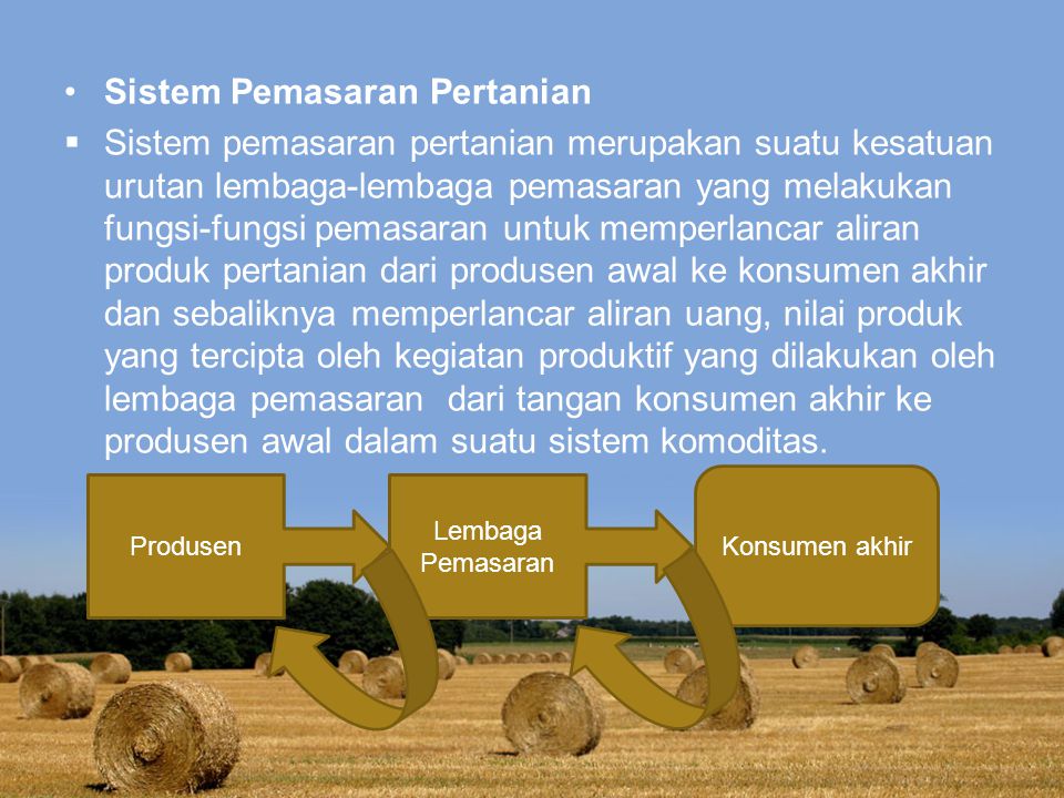 Sistem Pemasaran Pertanian