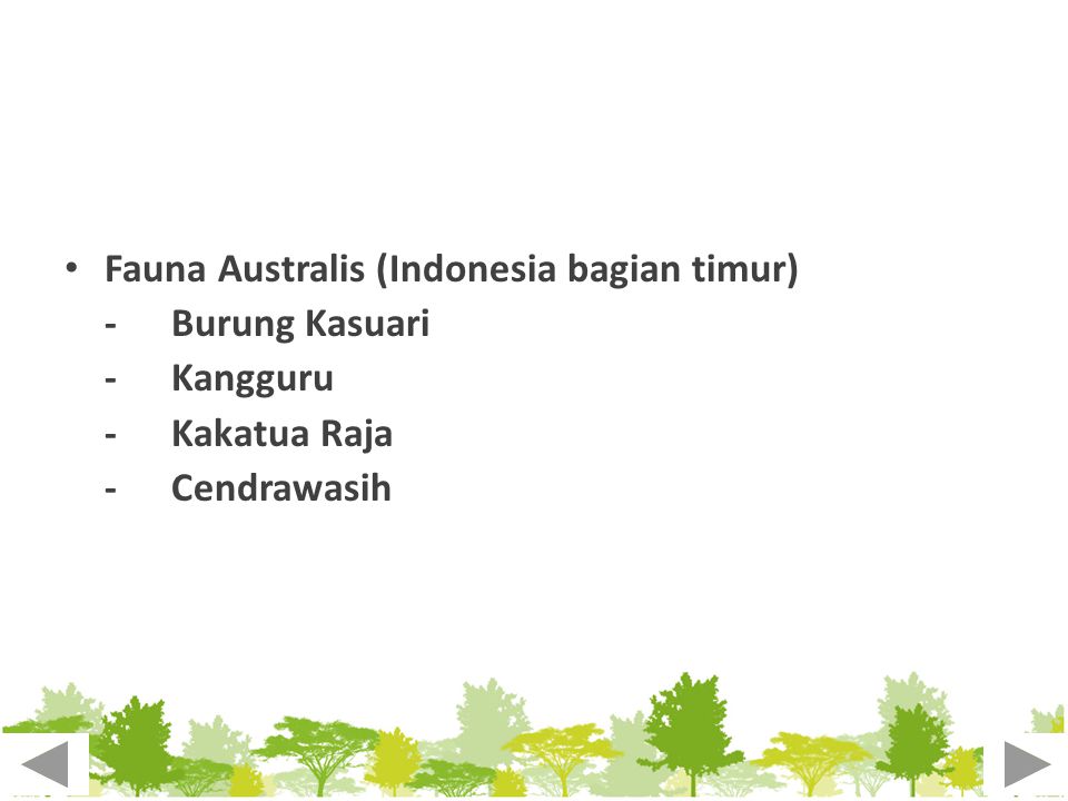 Fauna Australis (Indonesia bagian timur)