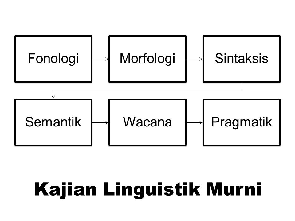 Kajian Linguistik Murni