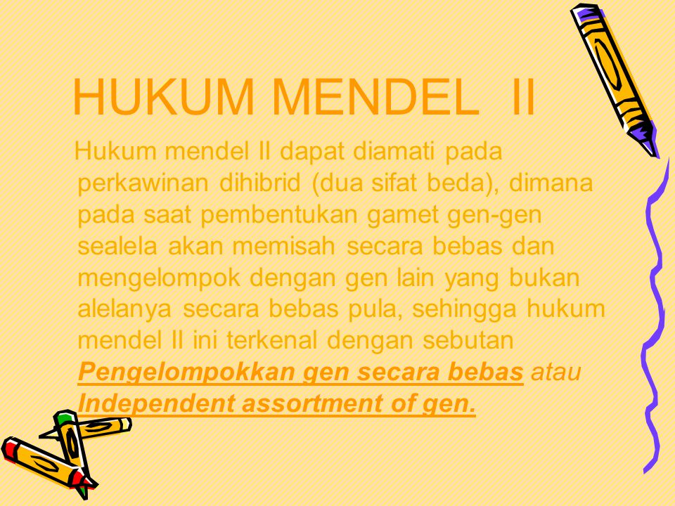HUKUM MENDEL II