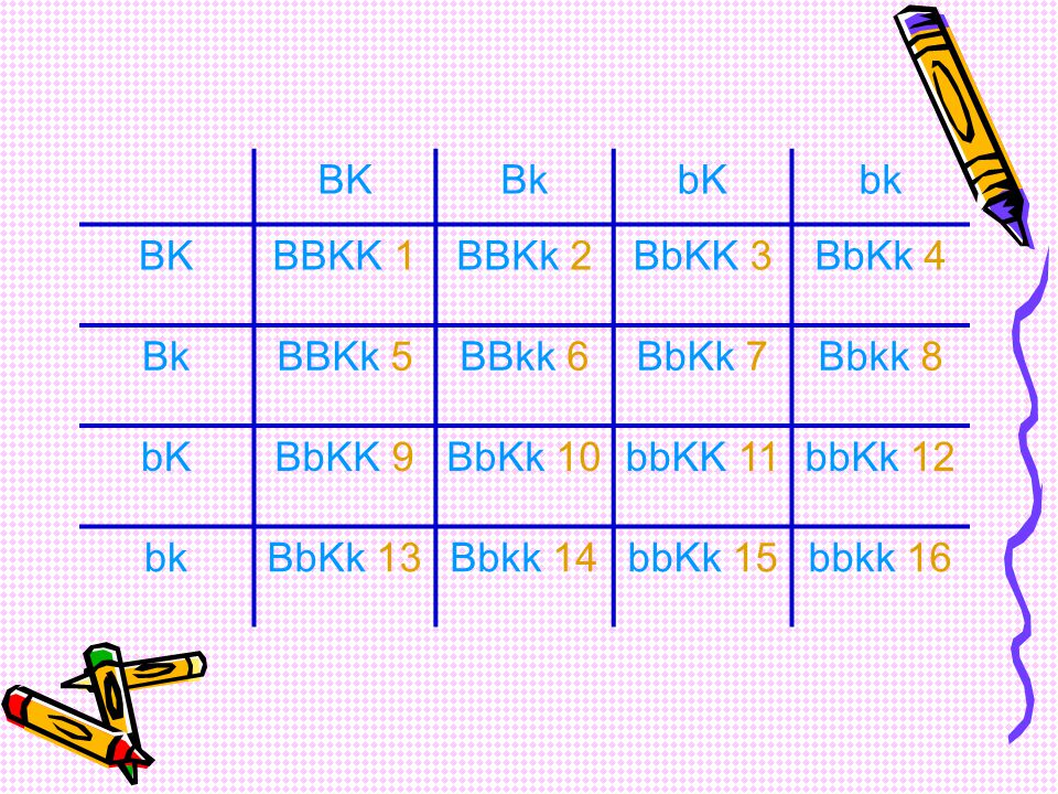 BK Bk. bK. bk. BBKK 1. BBKk 2. BbKK 3. BbKk 4. BBKk 5. BBkk 6. BbKk 7. Bbkk 8. BbKK 9. BbKk 10.