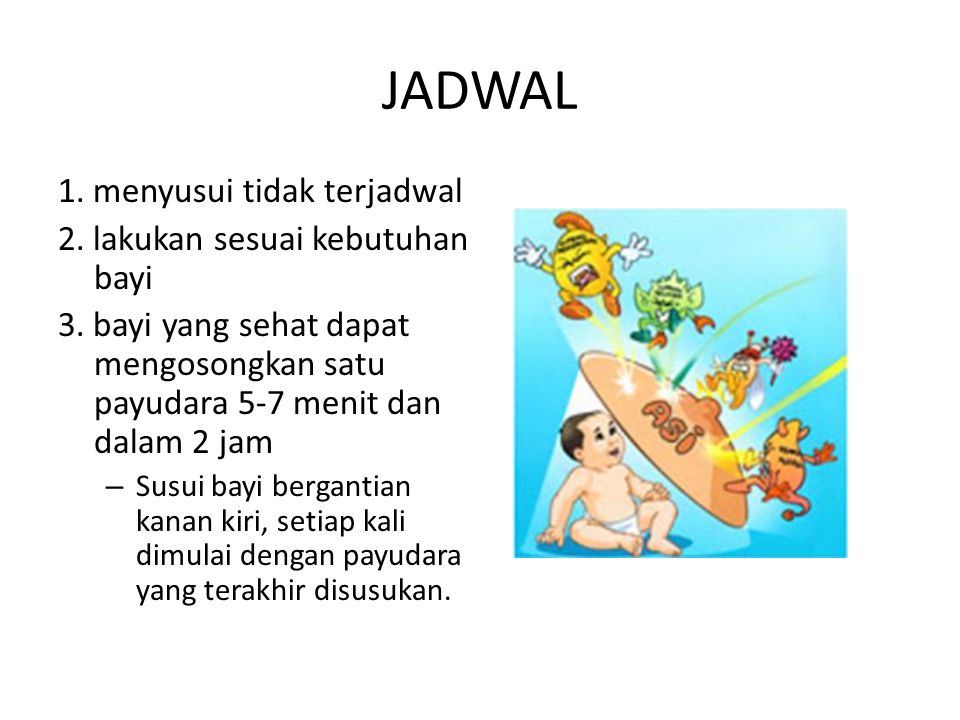 JADWAL 1. menyusui tidak terjadwal 2. lakukan sesuai kebutuhan bayi