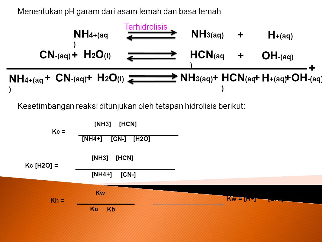 NH4+(aq) NH3(aq) + H+(aq) CN-(aq) + H2O(l) HCN(aq) + OH-(aq) +