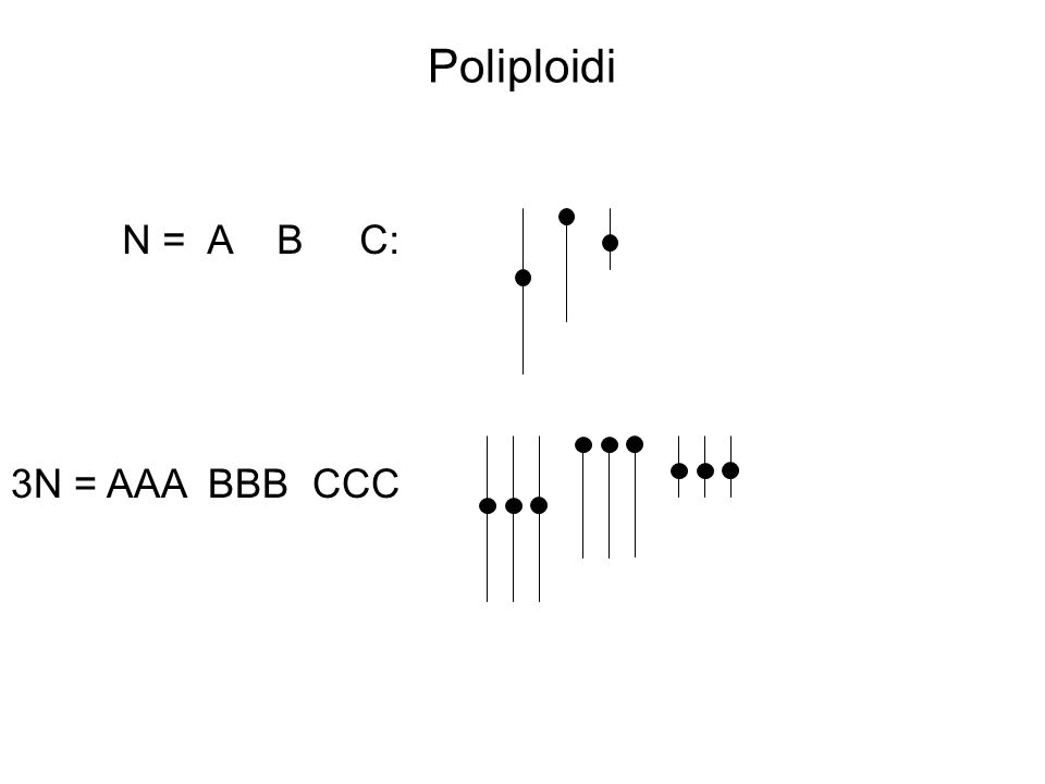 Poliploidi N = A B C: 3N = AAA BBB CCC
