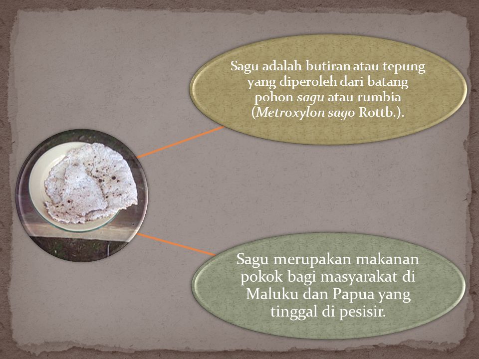 Sagu adalah butiran atau tepung yang diperoleh dari batang pohon sagu atau rumbia (Metroxylon sago Rottb.).