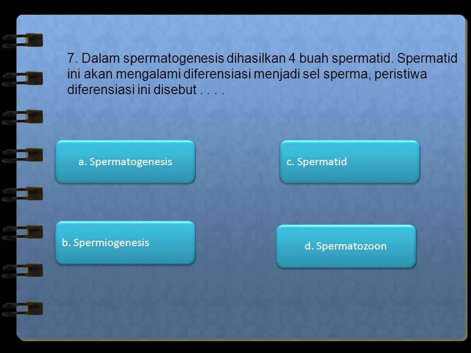 7. Dalam spermatogenesis dihasilkan 4 buah spermatid