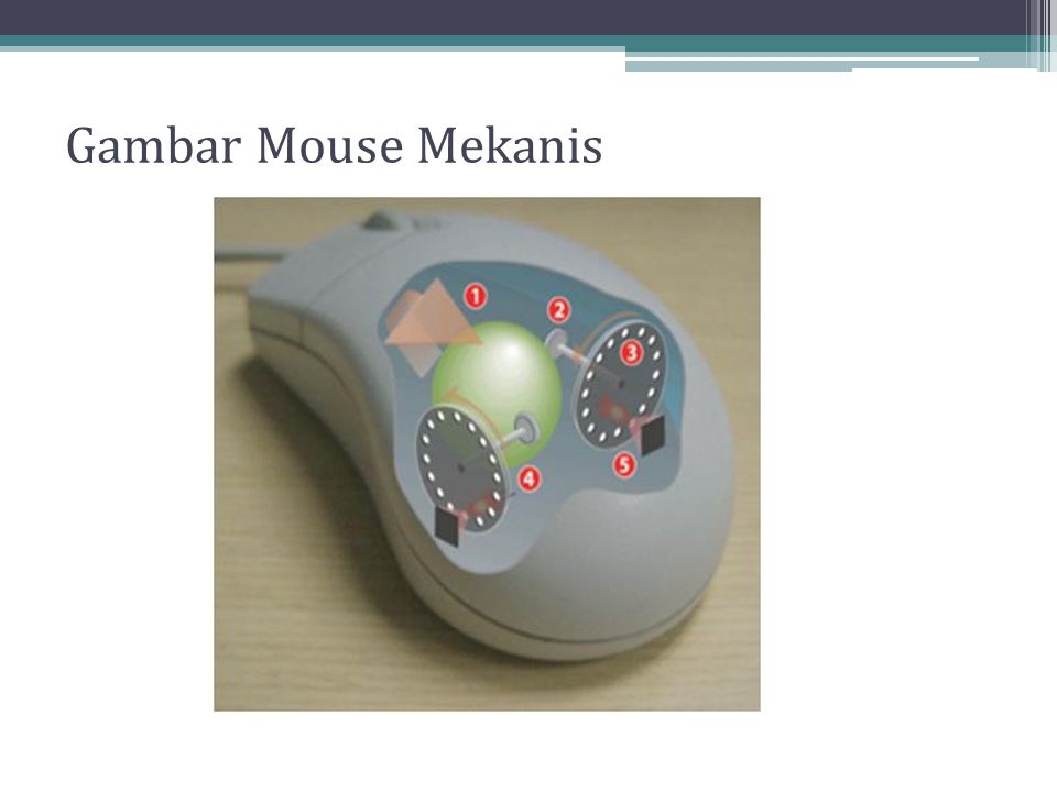 Gambar Mouse Mekanis