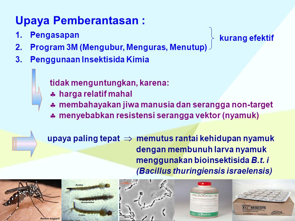 BIOINSEKTISIDA MULYORINI RAHAYUNINGSIH - Ppt Download