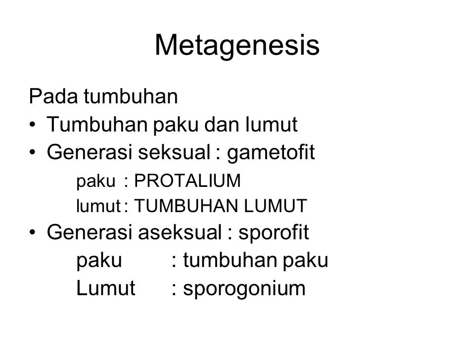 Metagenesis Pada tumbuhan Tumbuhan paku dan lumut