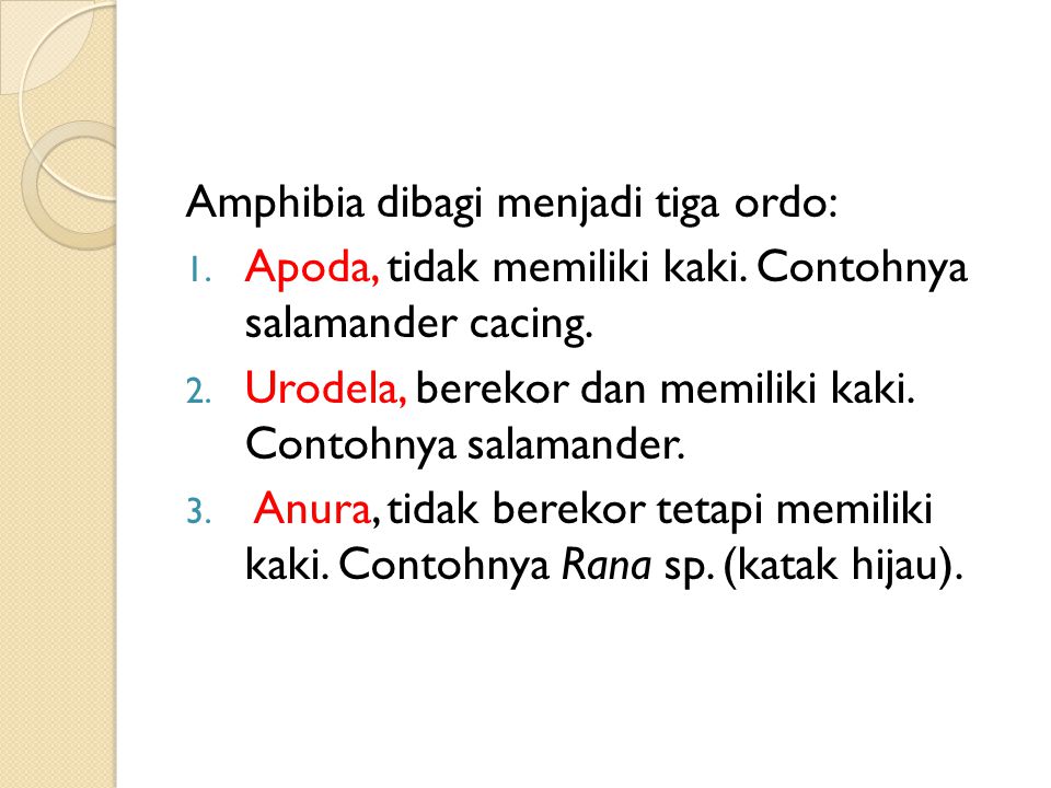 Amphibia dibagi menjadi tiga ordo: