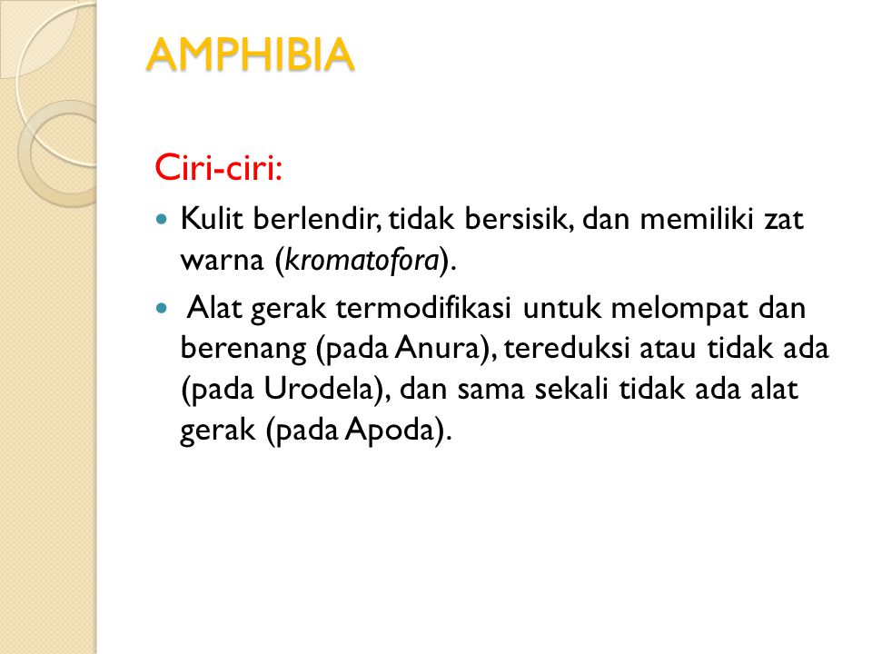 AMPHIBIA Ciri-ciri: Kulit berlendir, tidak bersisik, dan memiliki zat warna (kromatofora).