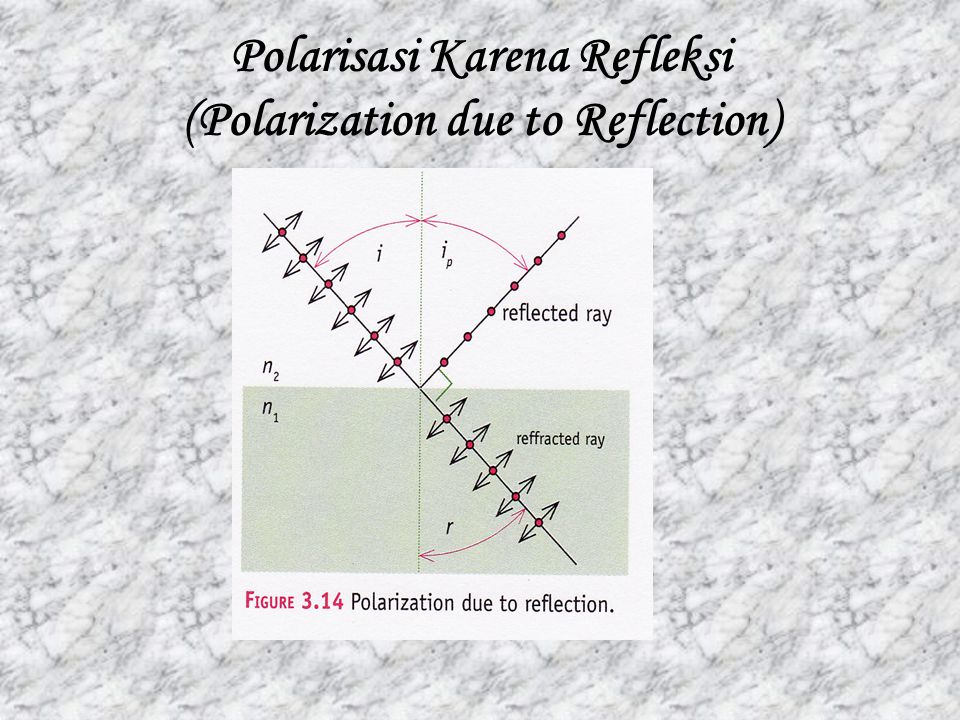 Polarisasi Karena Refleksi (Polarization due to Reflection)