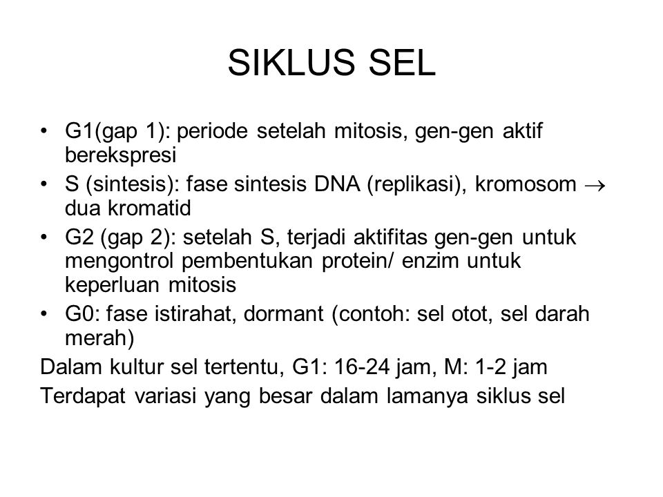 SIKLUS SEL G1(gap 1): periode setelah mitosis, gen-gen aktif berekspresi. S (sintesis): fase sintesis DNA (replikasi), kromosom  dua kromatid.