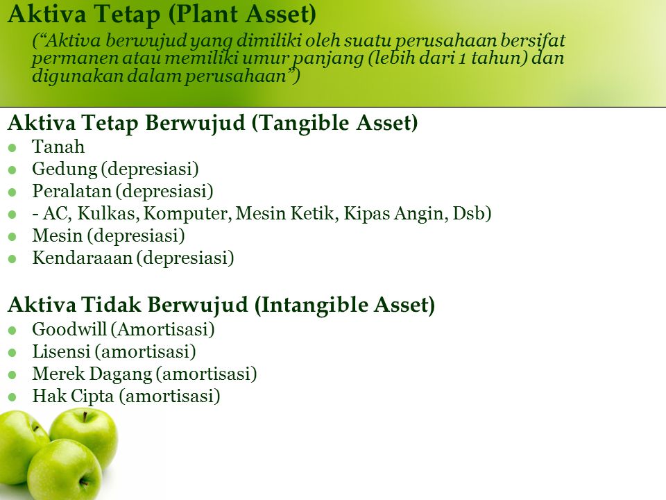 Aktiva Tetap (Plant Asset)