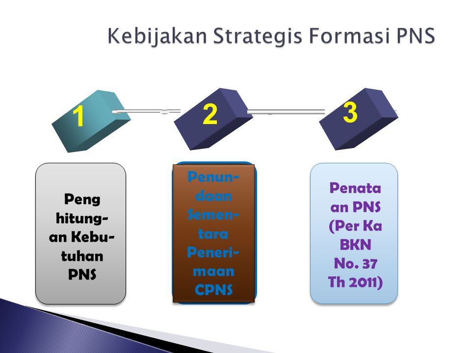 Kebijakan Strategis Formasi PNS