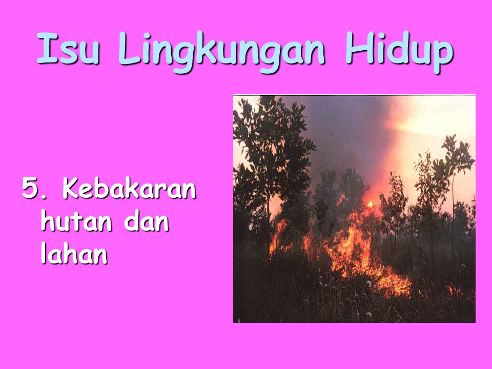 Isu Lingkungan Hidup 5. Kebakaran hutan dan lahan