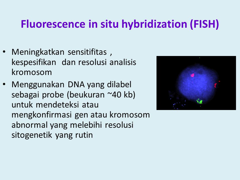 Fluorescence in situ hybridization (FISH)