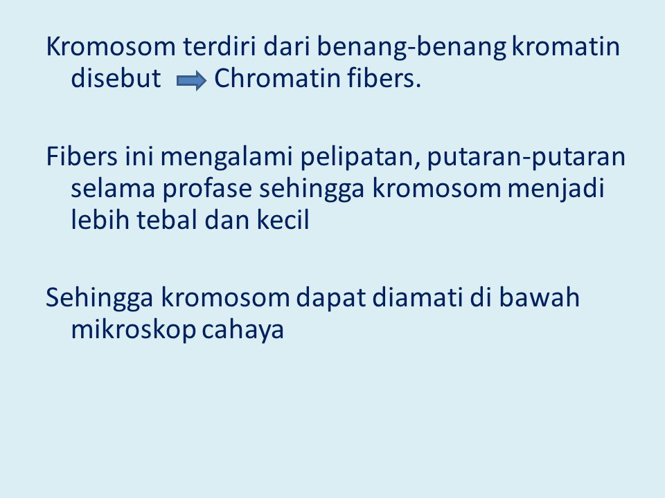 Kromosom terdiri dari benang-benang kromatin disebut Chromatin fibers.